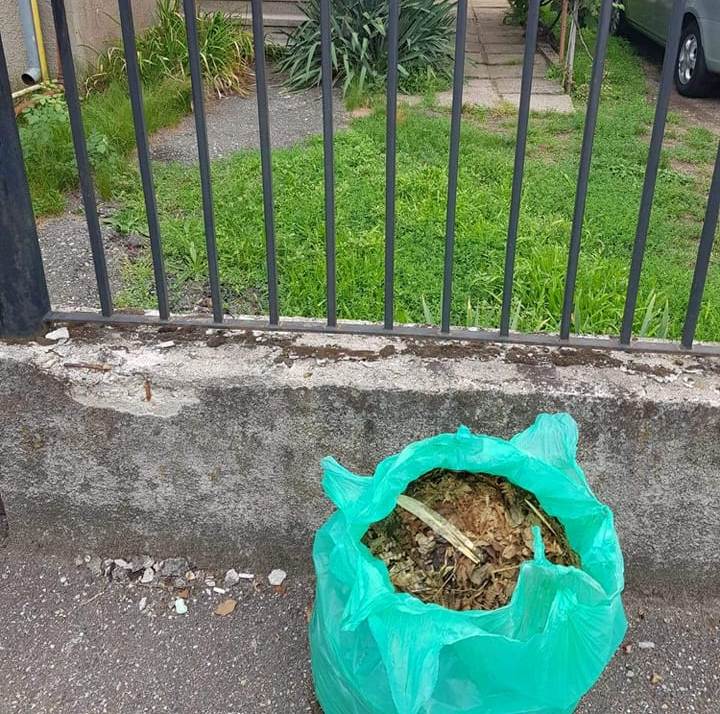 Campanie gratuită de colectare a deșeurilor vegetale în Năsăud