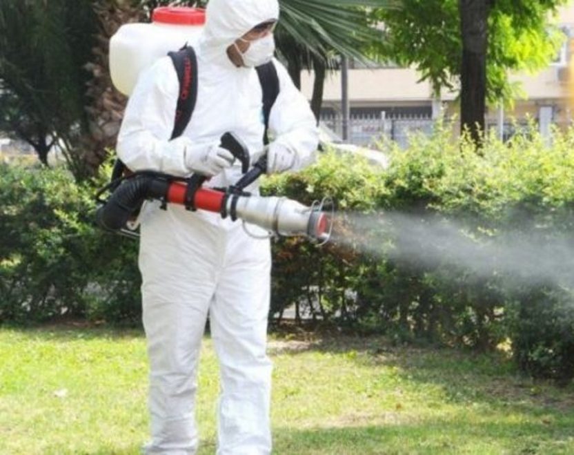 Campanie de dezinsecție la Deva, 17-24 mai