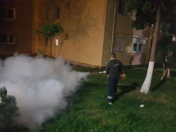 A cincea etapă a campaniei de dezinsecție terestră la Deva