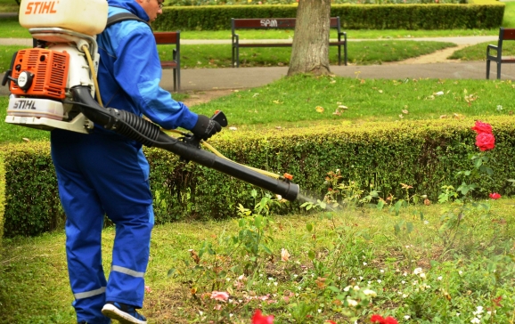 Dezinsecție în municipiul Câmpia Turzii