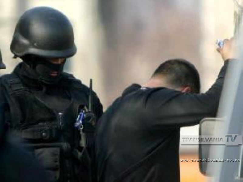 Percheziţii la Satu Mare. Suspecții furau mașini închiriate din Europa și le vindeau în România