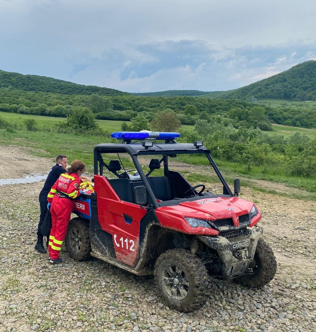 Desfășurare de forțe pentru găsirea unei sălăjence rătăcită în pădure