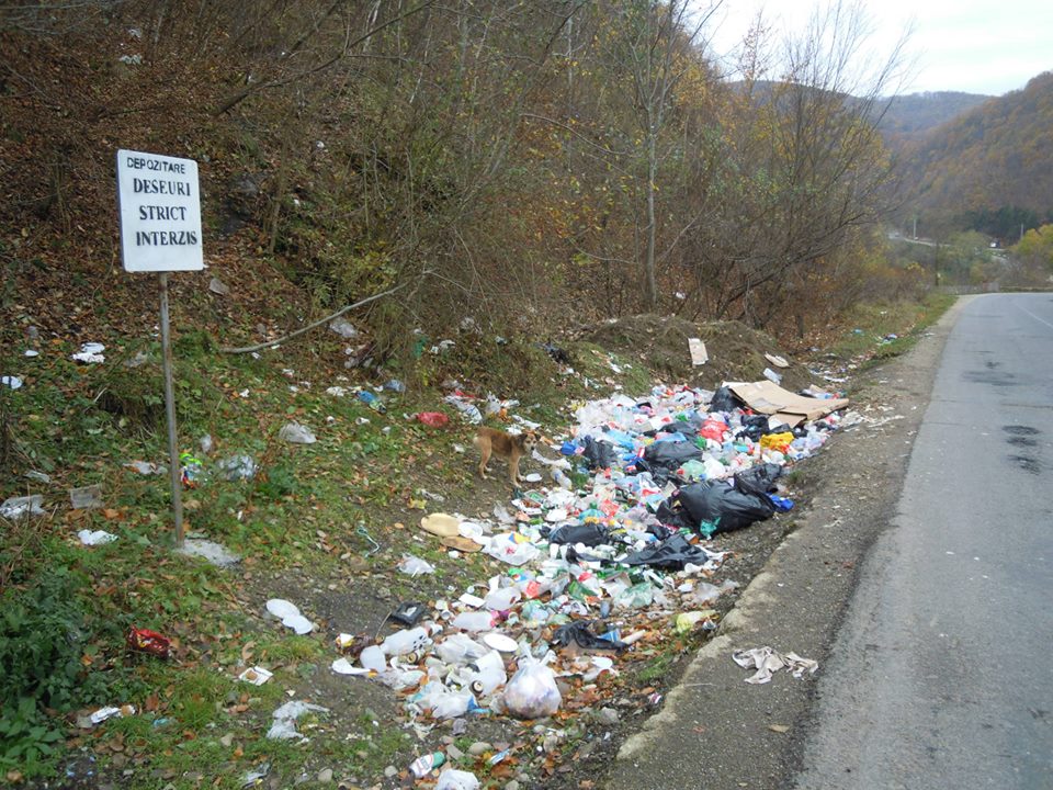 Acțiune de ecologizare în zona lacului Tarniţa