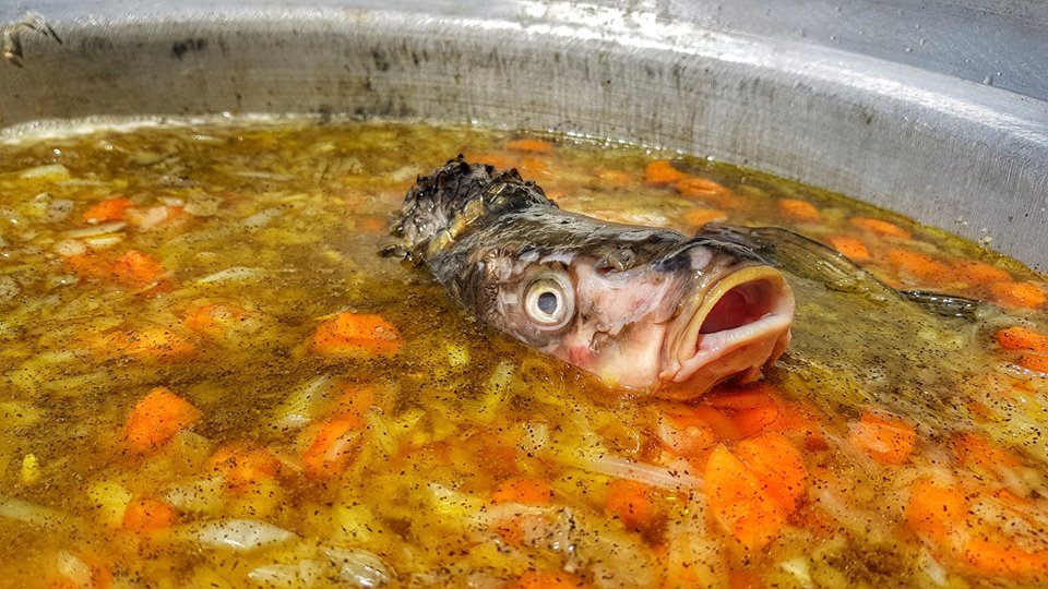 Două zile dedicate pescuitului și gastronomiei pescărești la Câmpia Turzii