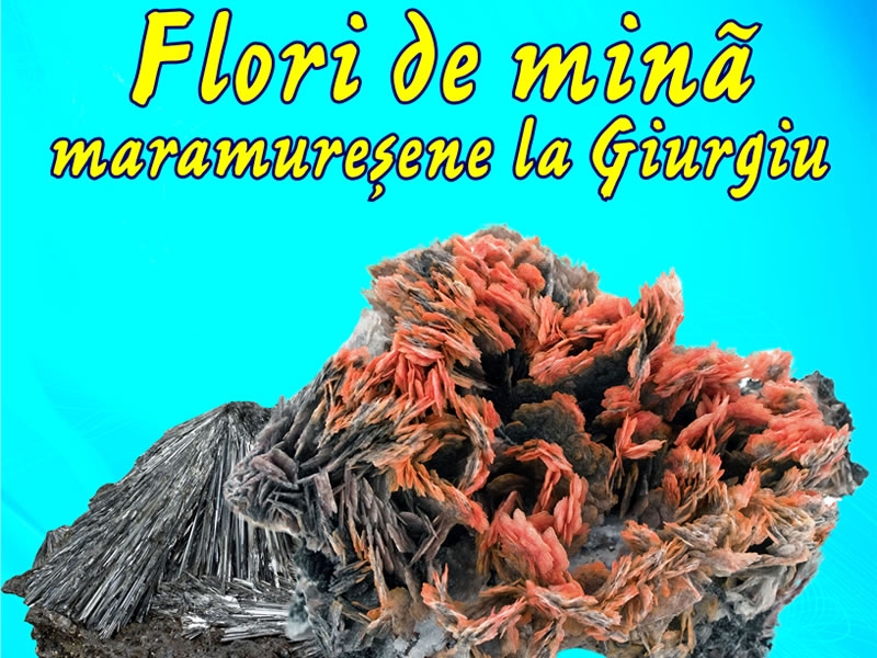 Expoziție: Flori de mină maramureșene la Giurgiu