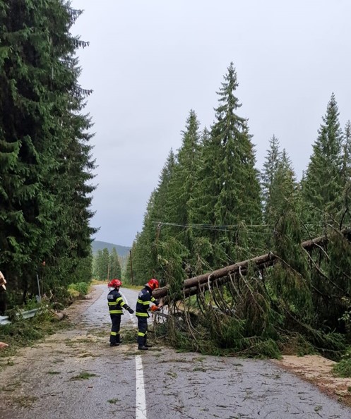 Intervenții ale pompierilor bihoreni pentru înlăturarea efectelor fenomenelor meteorologice periculoase