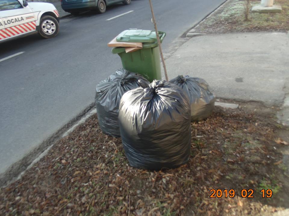 O nouă amendă pentru neridicarea gunoiului în Deva