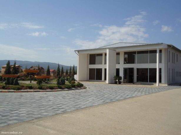 Inedit la Sebes! Hala si casa multifunctionala.