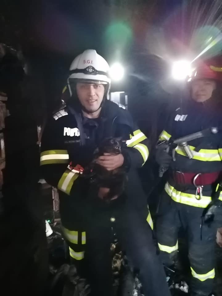 Incendiu la o casă de locuit din Negrești Oaș
