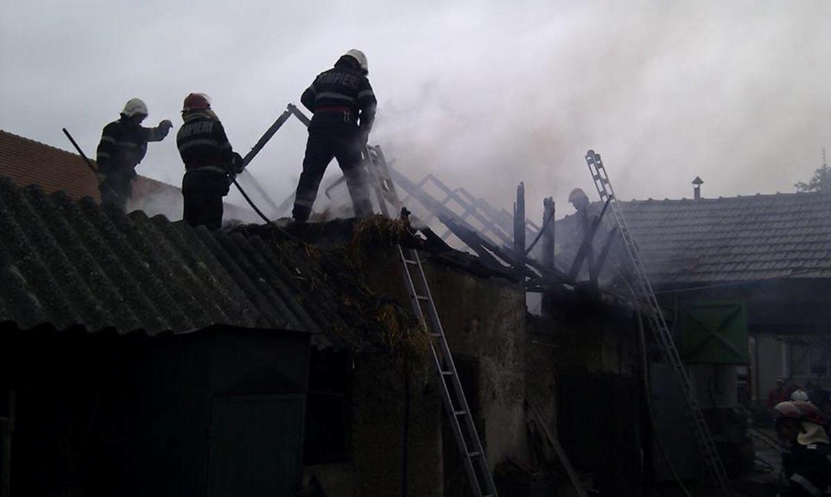 Incendiu produs la o gospodărie din Salonta