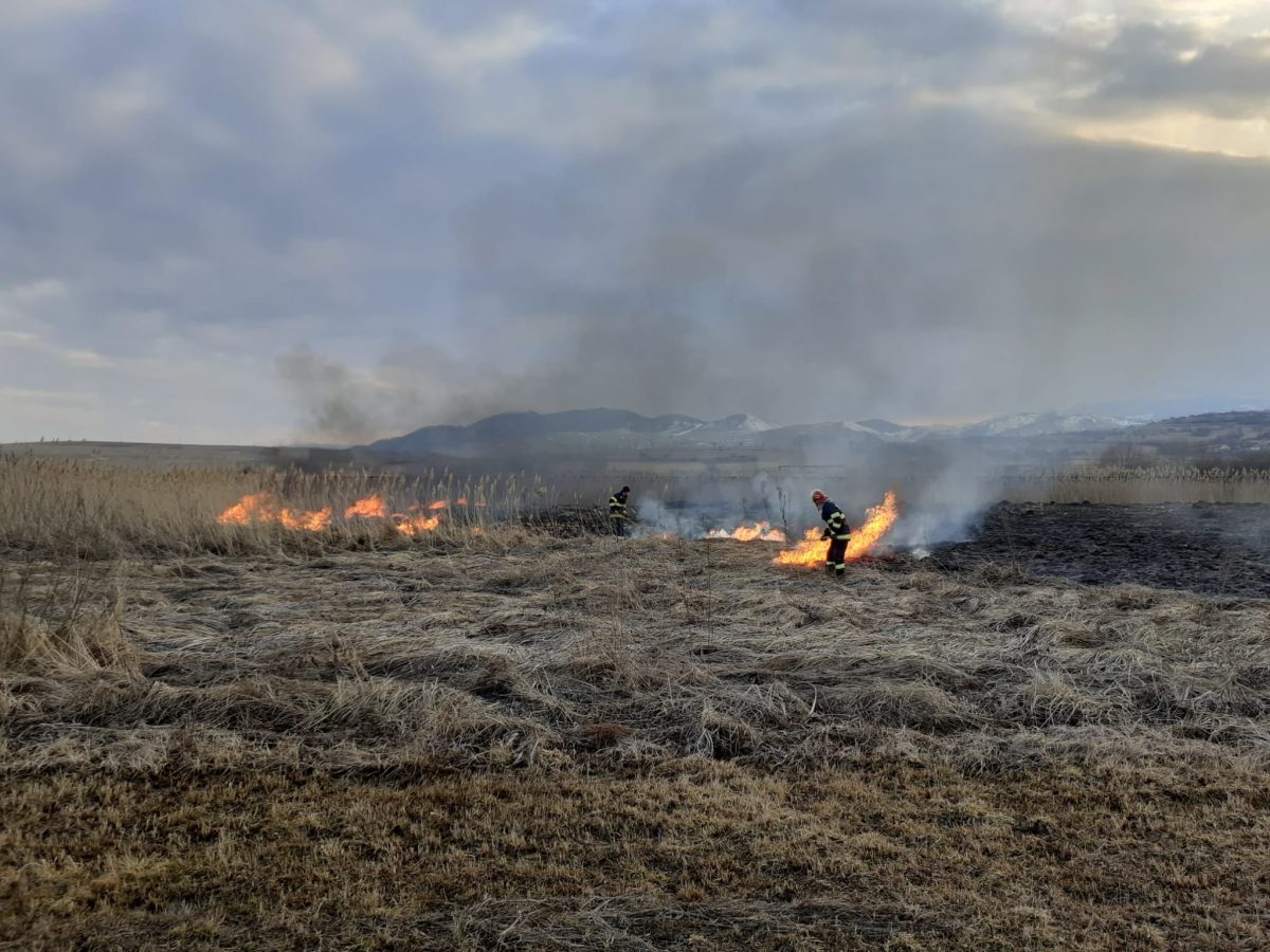 Incendiile de vegetație reprezintă în continuare un pericol în județul Cluj!