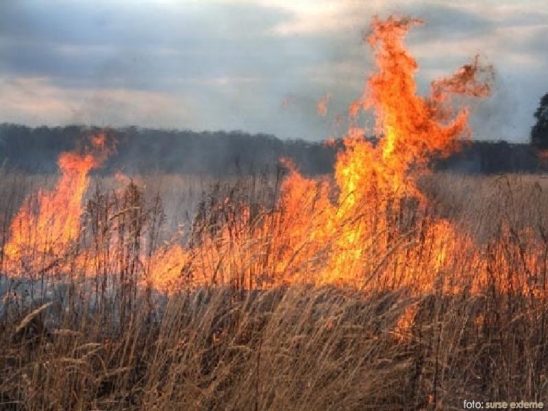 Bistrițean de 81 de ani, decedat în urma unui incendiu de vegetație