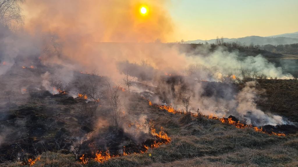 Incendiile de vegetație fac ravagii și în județul Hunedoara