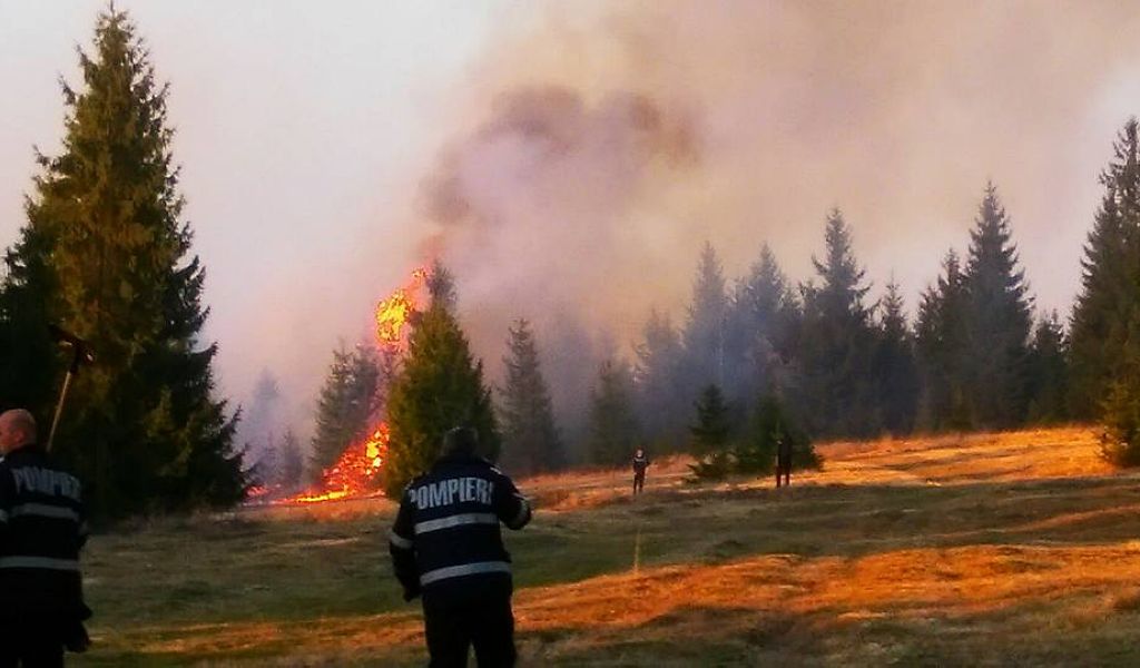 Incendiu de pădure în zona Harghita-Mădăraș