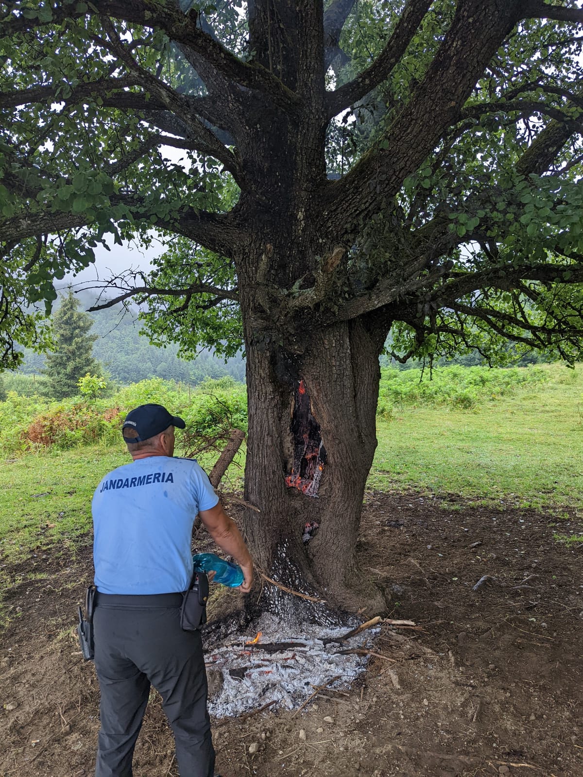 Jandarmii montani Colibița au contribuit la evitarea extinderii unui incendiu de pădure pe Via Transilvanica