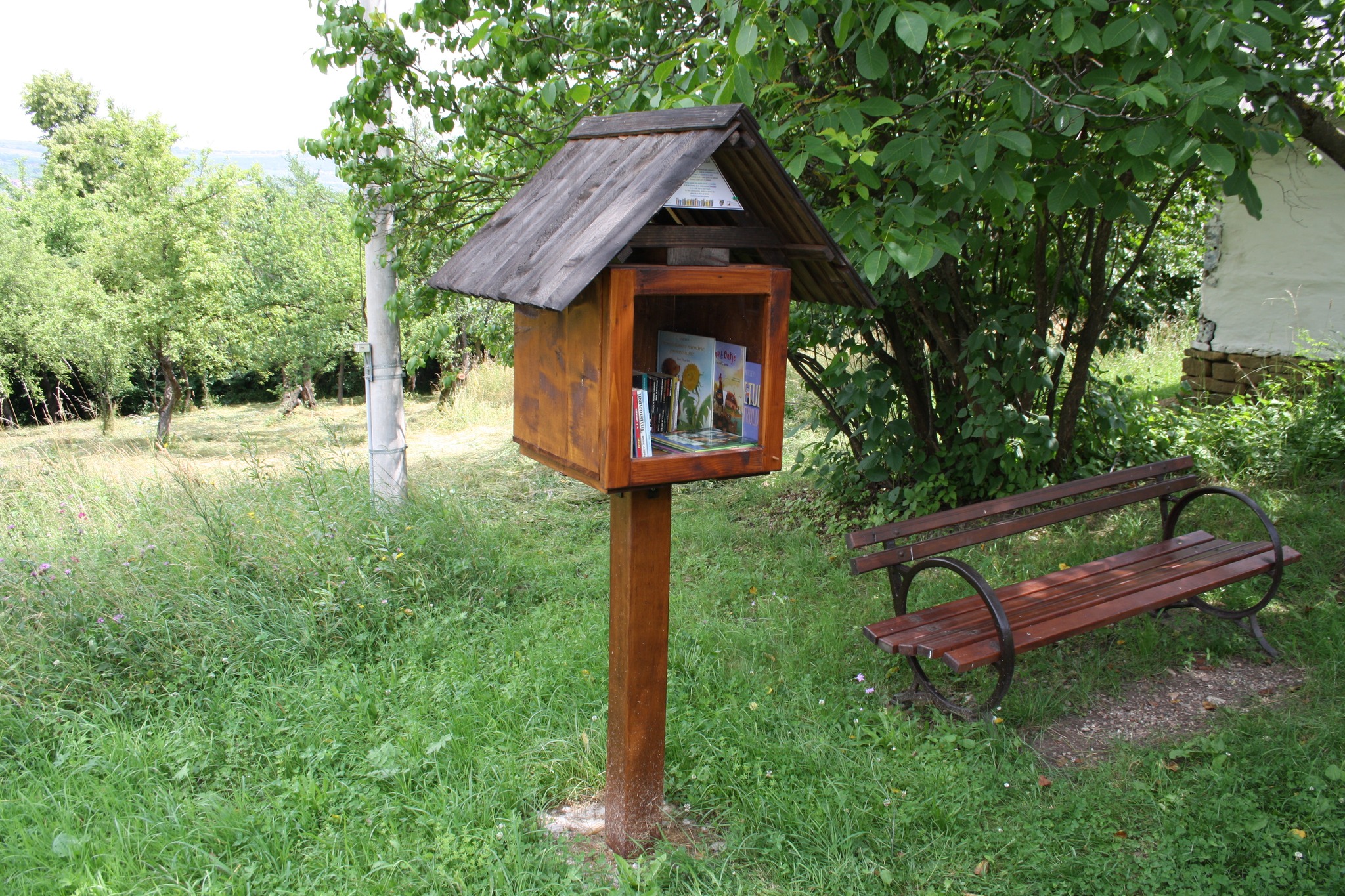 Lectură în Parcul Etnografic Național ,,Romulus Vuia” din Cluj-Napoca