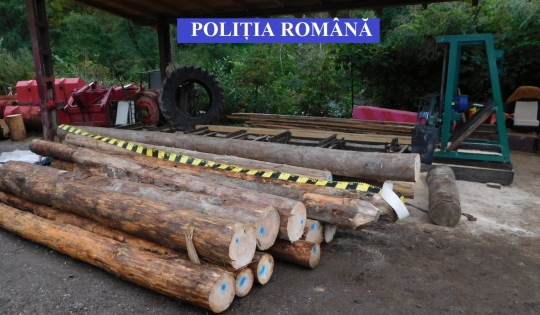 Acţiuni pentru protejarea fondului forestier, desfăşurate pe văile Budacului şi Bârgăului