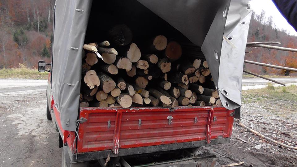 Amendă de 3.000 de lei, aplicată în Crișcior, pentru un șofer care transporta material lemnos