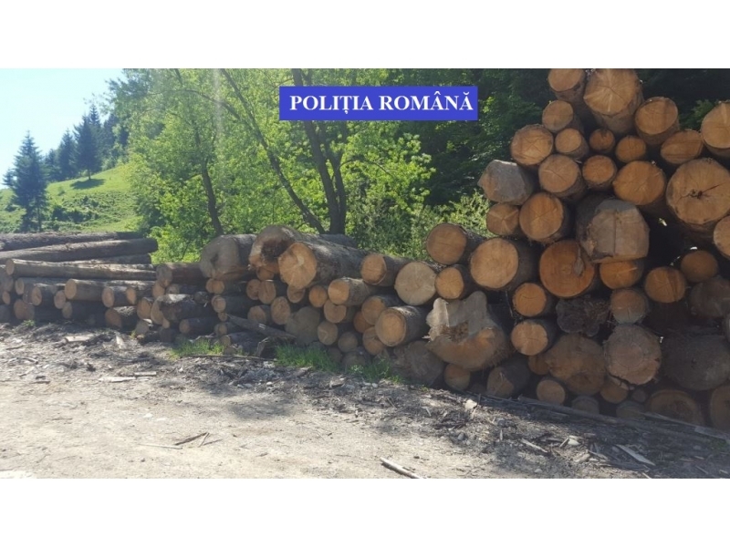 Material lemnos fără documente legale, în valoare de peste 10.000 de lei, confiscat de poliţiştii bistrițeni