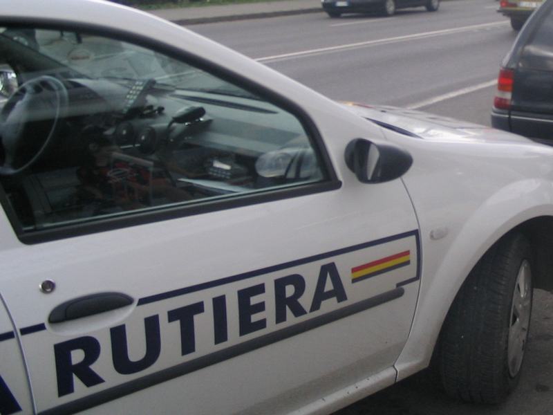 Pe șoselele din Bistrița-Năsăud se circulă ca-n junglă