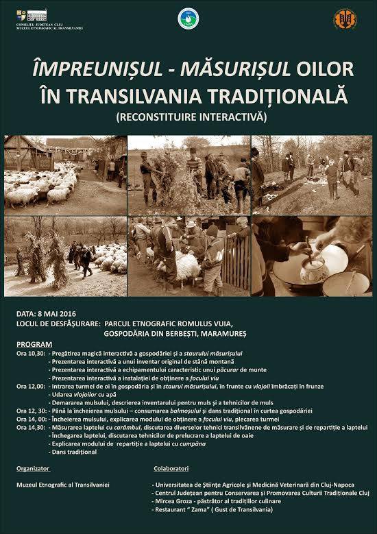 Cluj Napoca: Măsurișul oilor în Transilvania tradițională (reconstituire)
