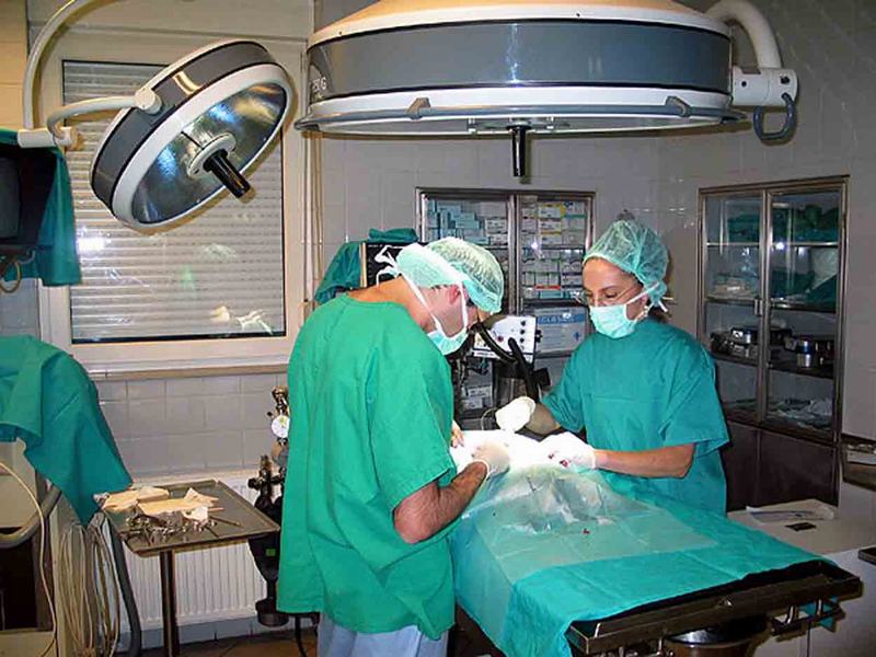 Colegiul Medicilor Bistrița-Năsăud își alege conducerea