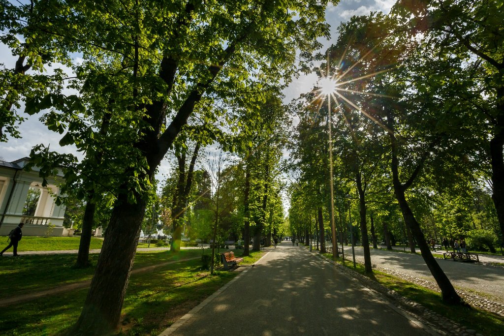 Tratamente fitosanitare la arborii și arbuștii de pe spațiile verzi din Cluj-Napoca