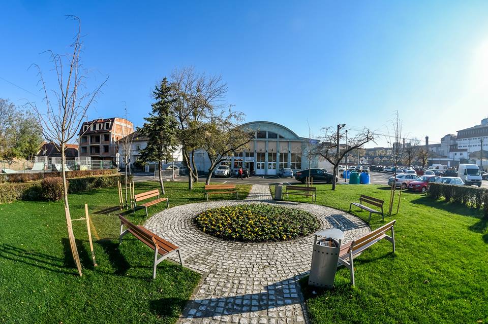 Plantări de arbori și arbuști în Sibiu