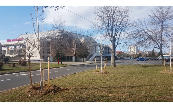 300 de arbori au fost plantați în Oradea, în cadrul campaniei de plantări de primăvară
