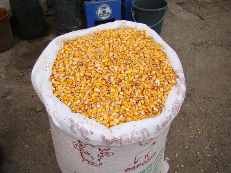 Reguli noi pentru subvențiile acordate fermierilor din Bistrița-Năsăud
