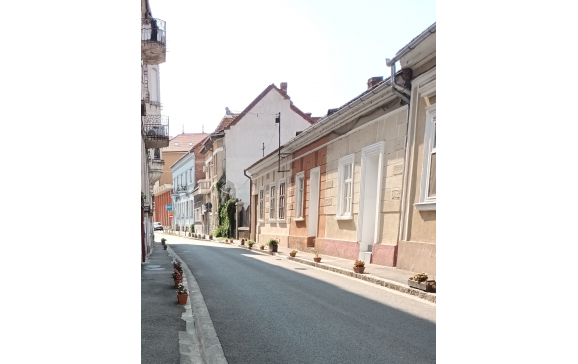 Inițiativă cetățenească în Oradea: Jardiniere cu flori pentru a preîntâmpina parcările neregulamentare