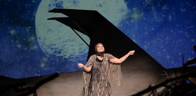 Anul teatral 2015 începe în forță la Teatrul Național Radu Stanca Sibiu