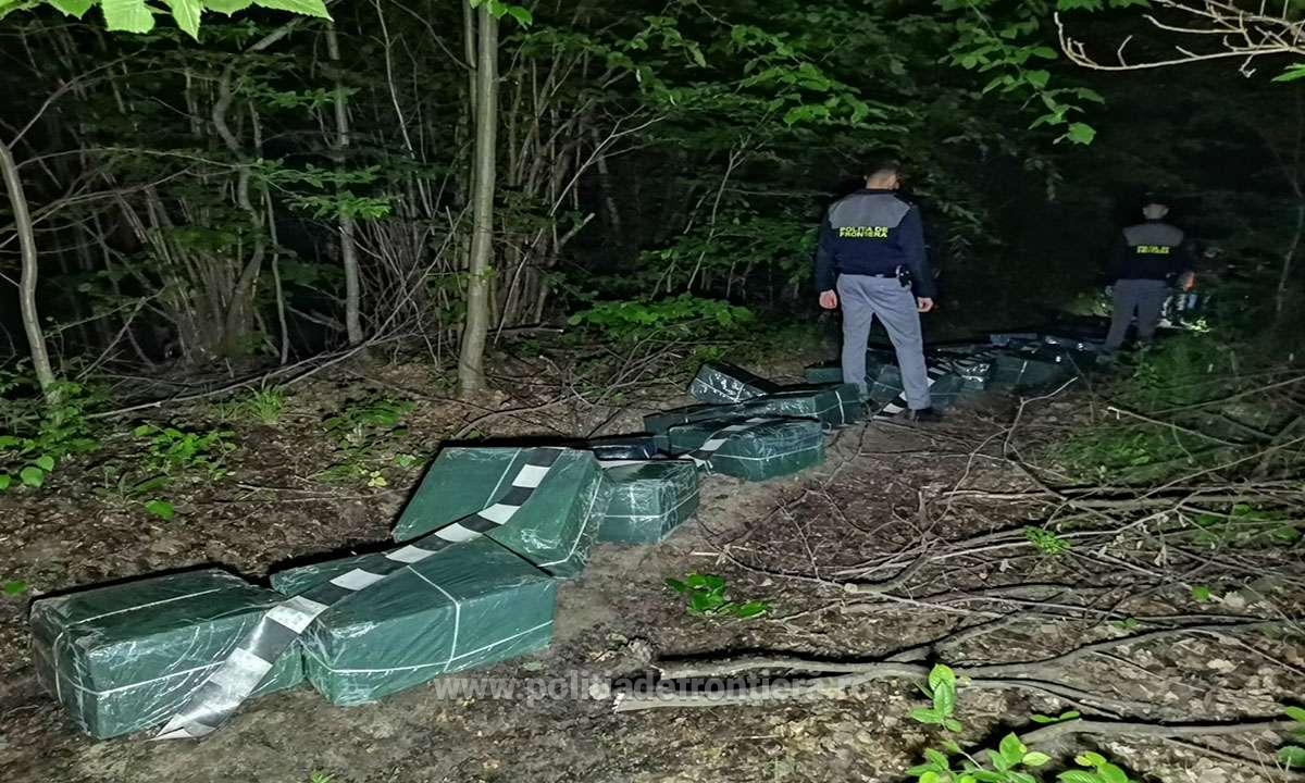 Ţigări de contrabandă descoperite în pădure, la frontiera de nord