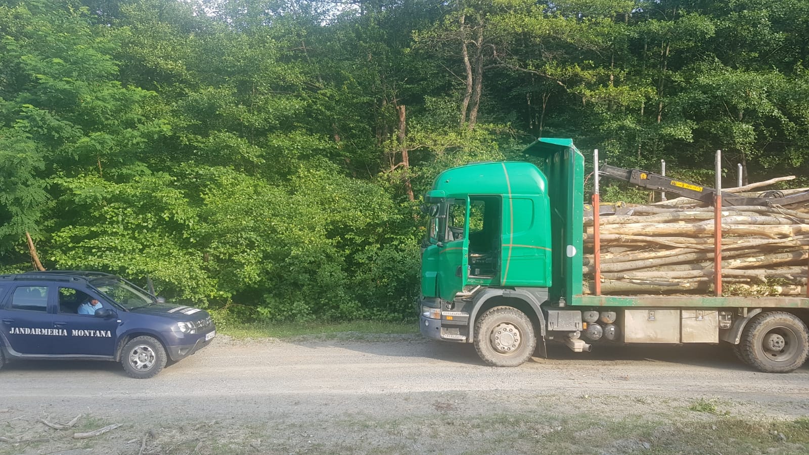 Transport ilegal de material lemnos identificat de jandarmii montani hunedoreni
