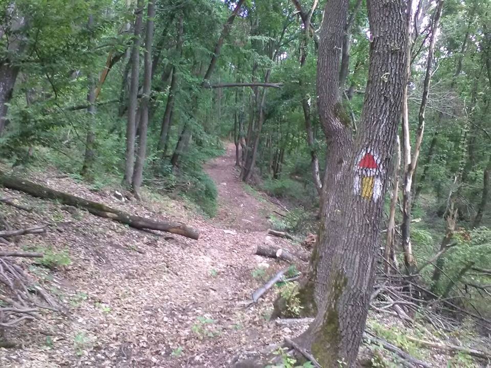 Traseele montane din județul Cluj, pregătite pentru vizita turiștilor