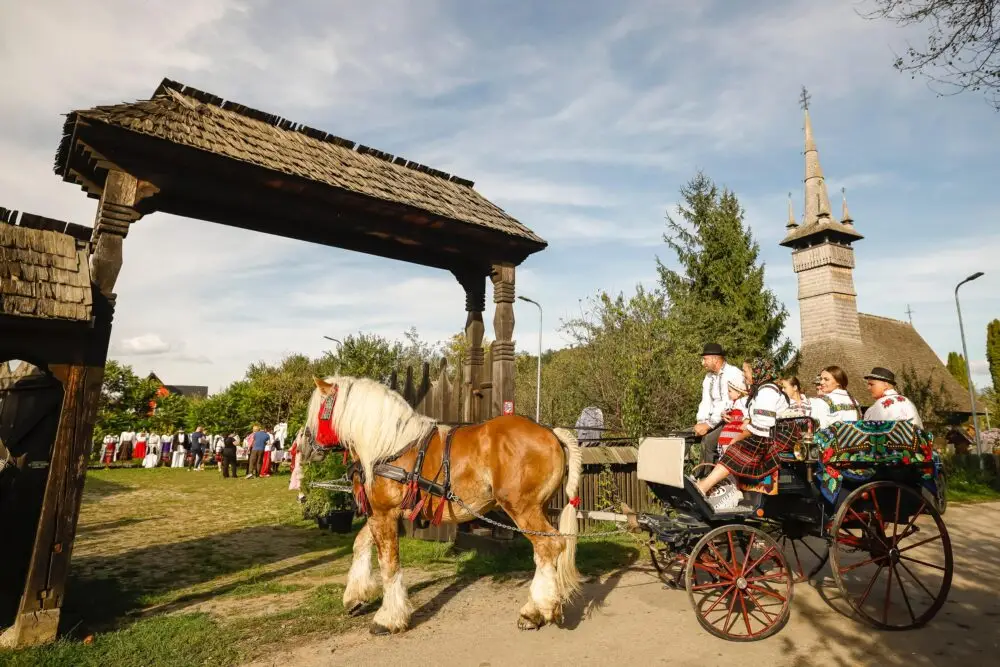 Gusturile bune românești, meșteșugarii autentici și gospodarii care duc mai departe tradițiile din toate zonele țării sunt reuniți, de trei ani de zile, sub platforma Via Profi, o inițiativă Profi prin care oricine se poate conecta la România frumoasă.
