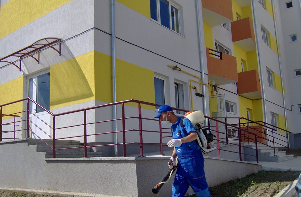 Tratamente de deratizare, dezinsecție și dezinfecție în municipiul Zalău