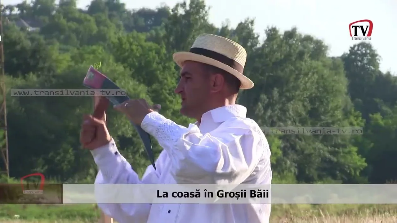 La coasă în Groșii Băii